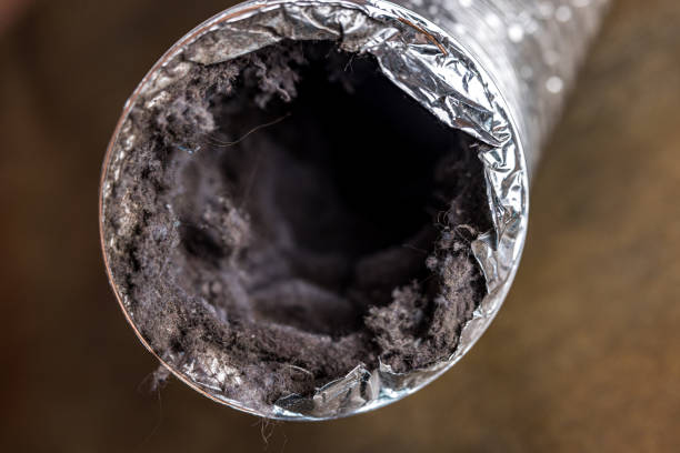 Best Air Duct Cleaning Near Me in Albany, MO