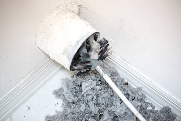 Best HVAC System Cleaning  in Albany, MO